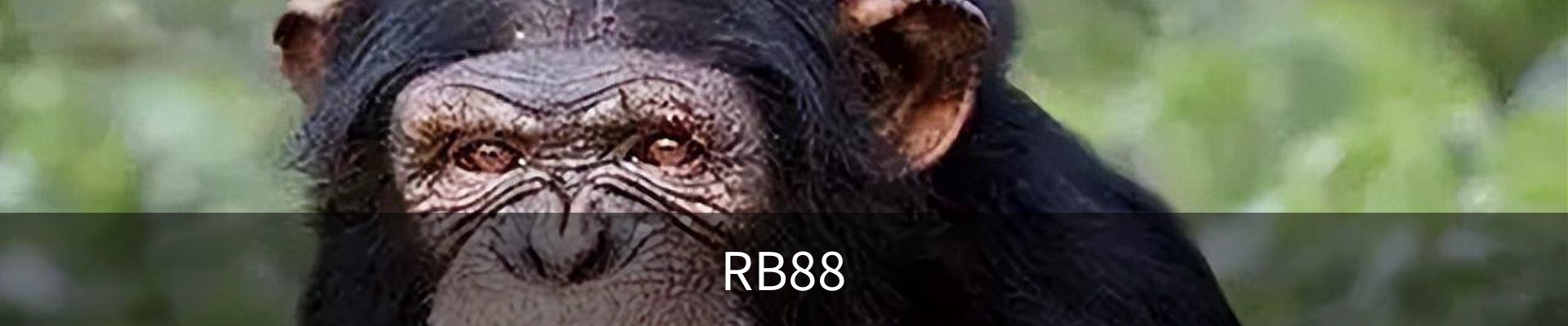 RB88